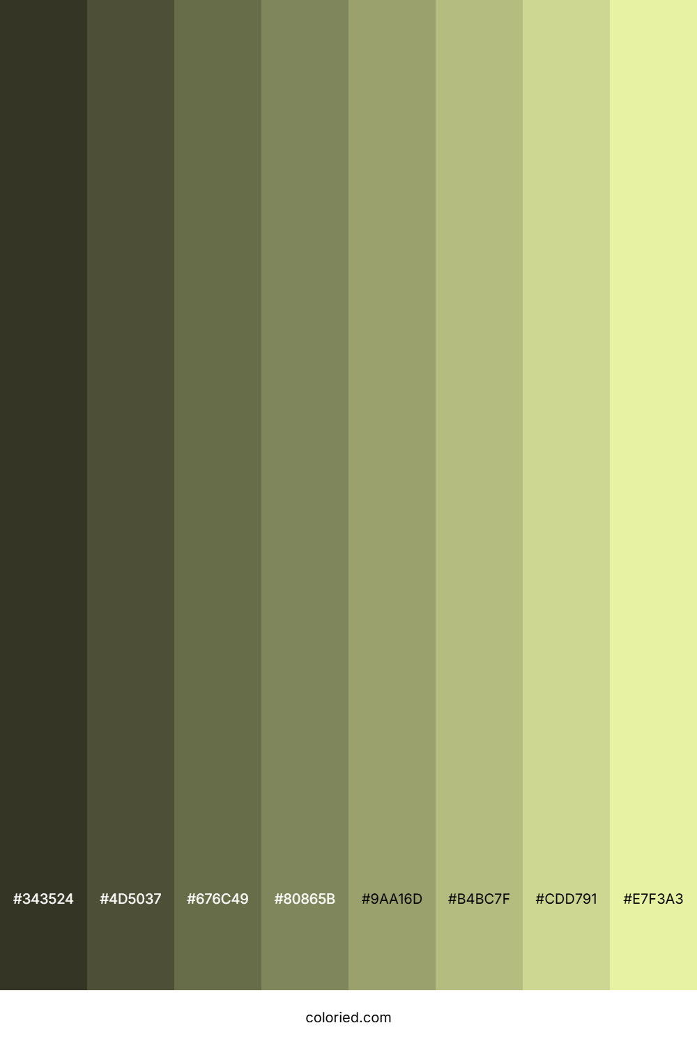 Light Khaki Color Shades