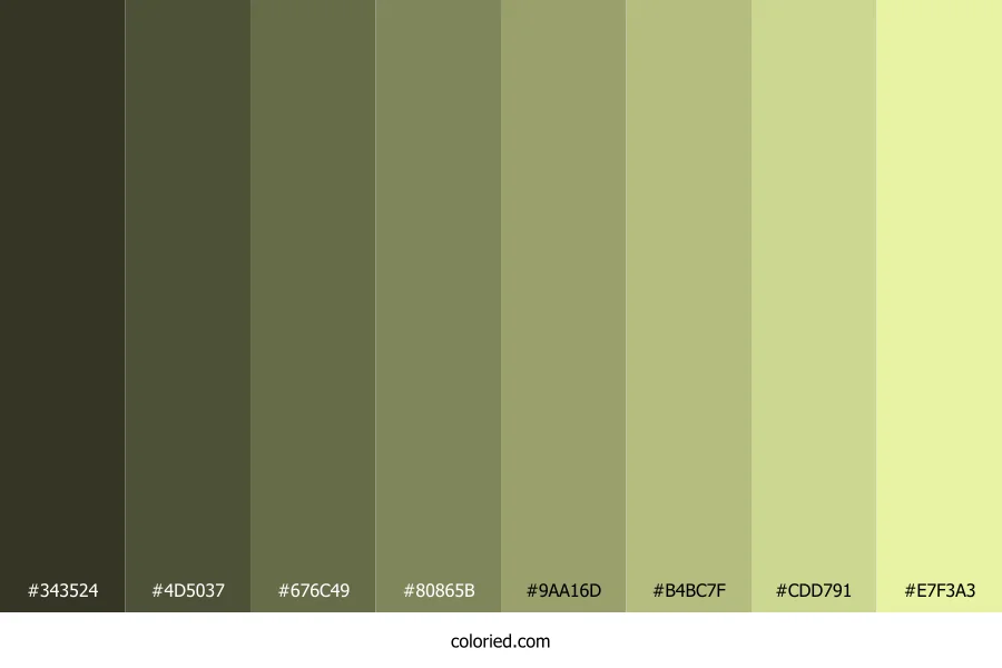 Light Khaki Color Shades