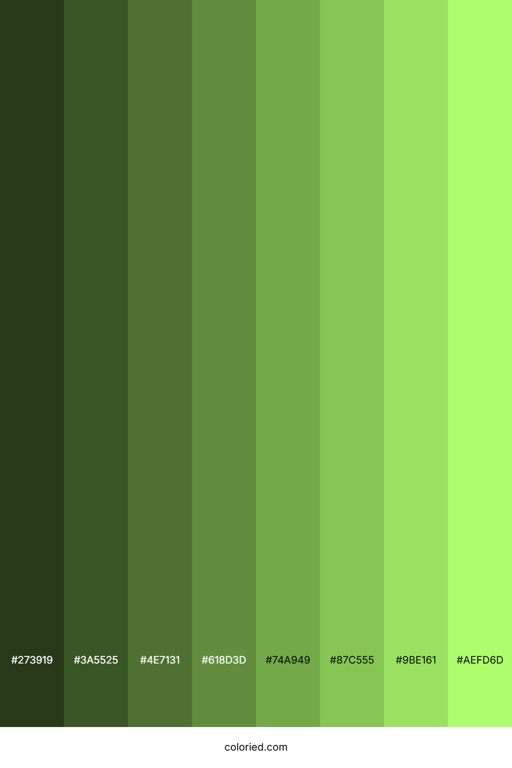 Light Lime Color Shades