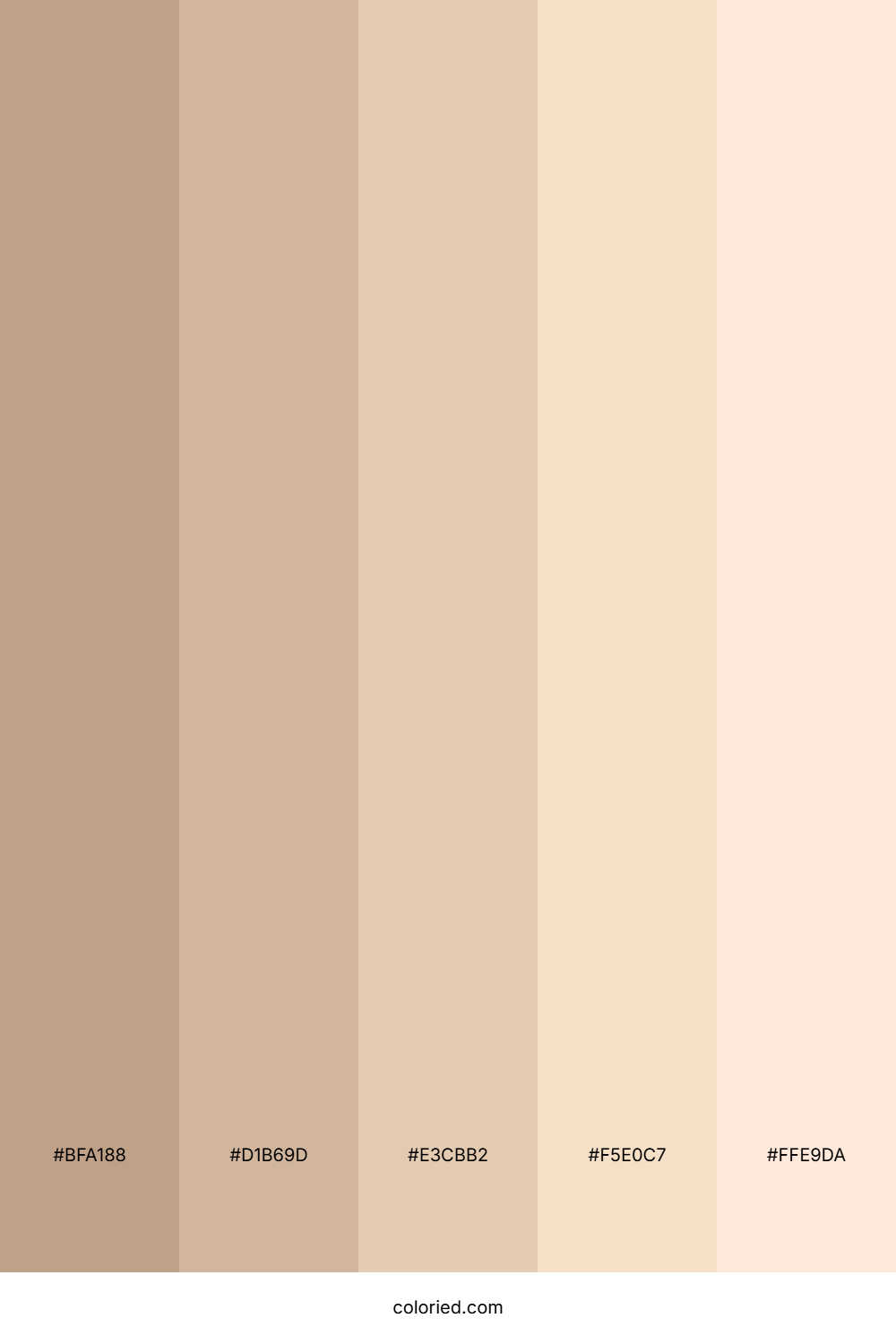 Light Mocha Color Palette