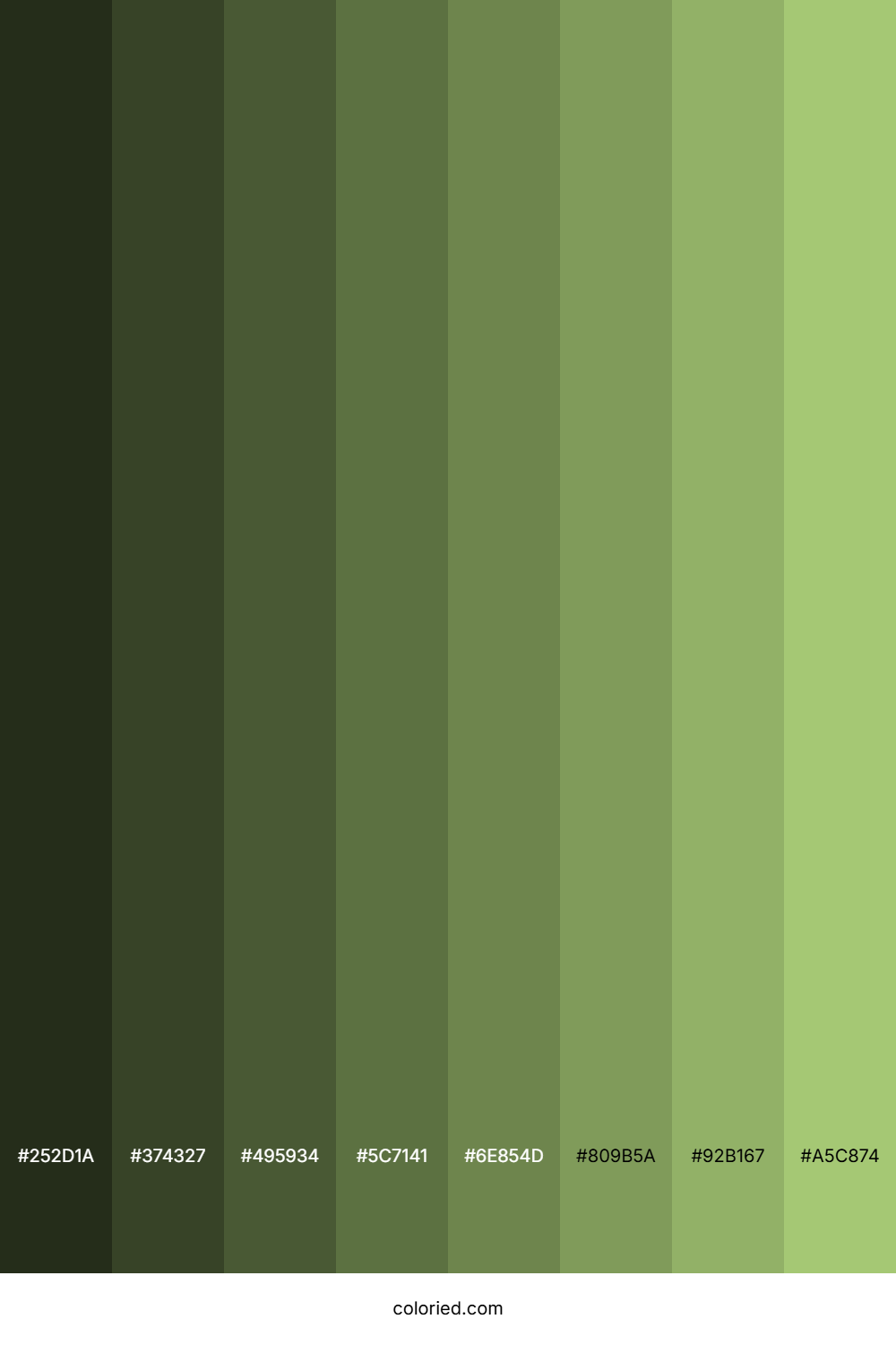 Light Moss Green Shades
