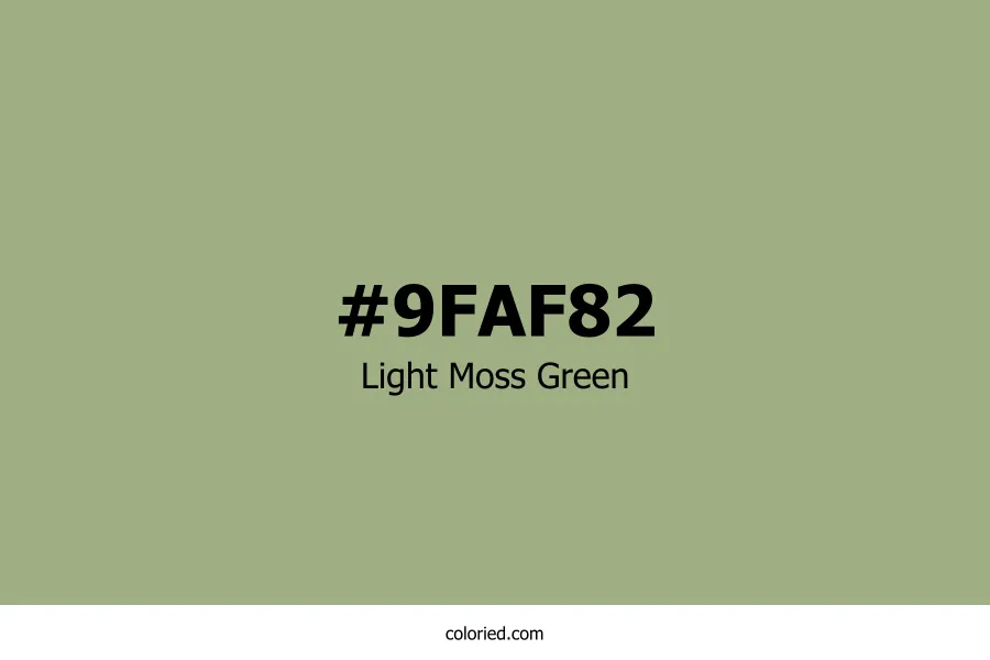 Light Moss Green Color