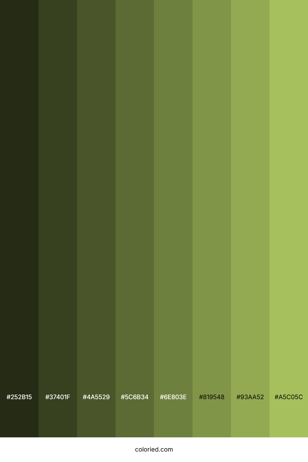 Light Olive Green Shades