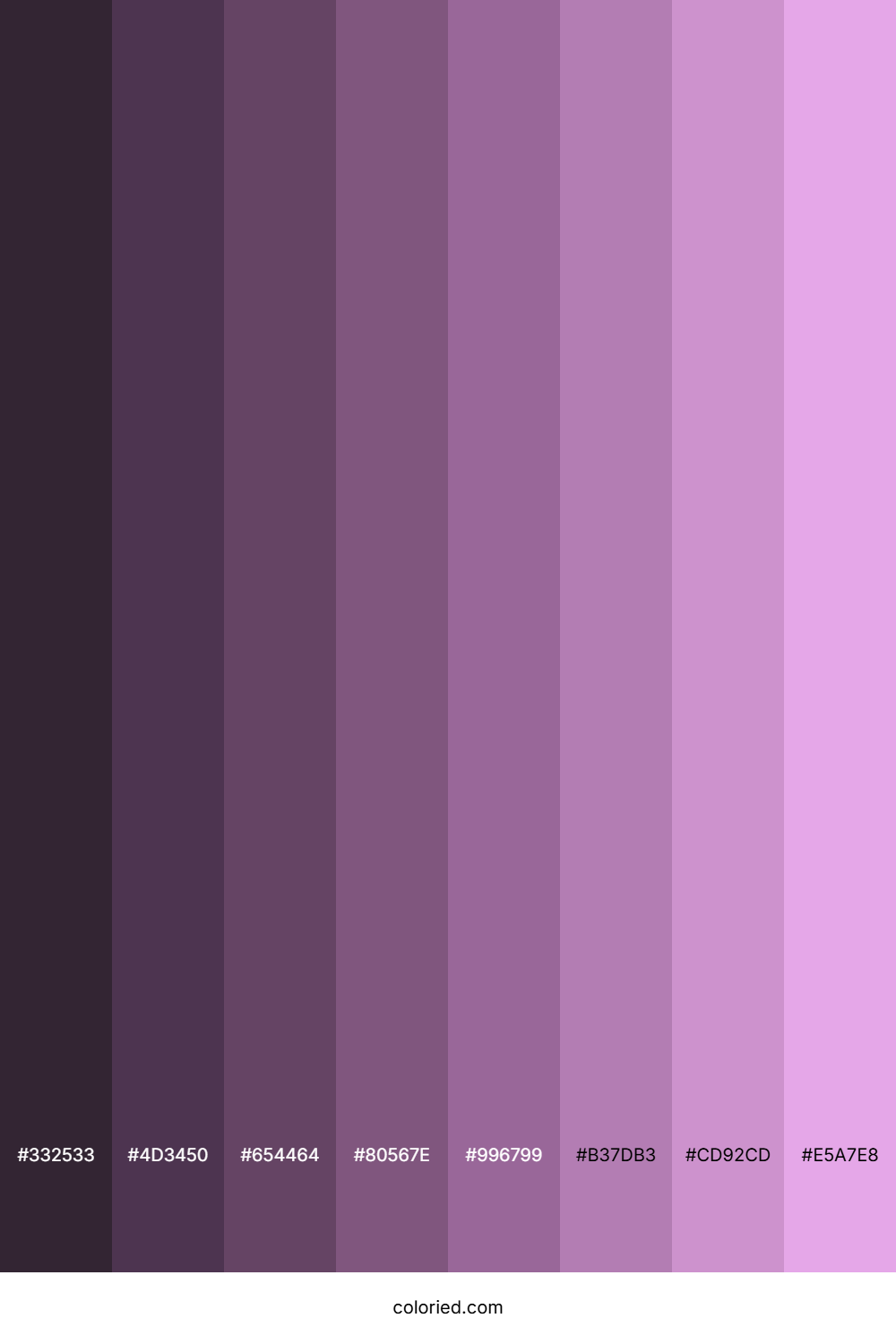 Light Orchid Color Shades