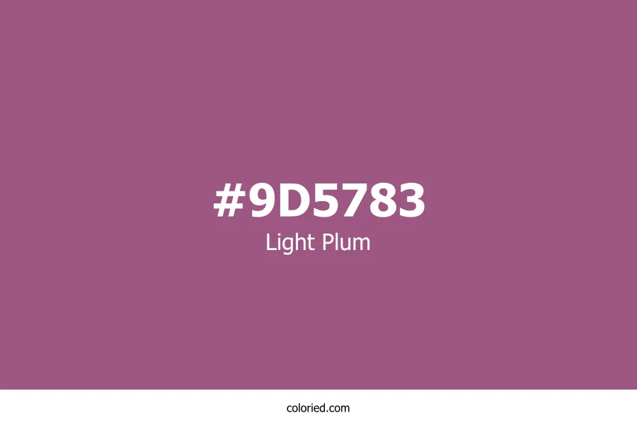 Light Plum Color
