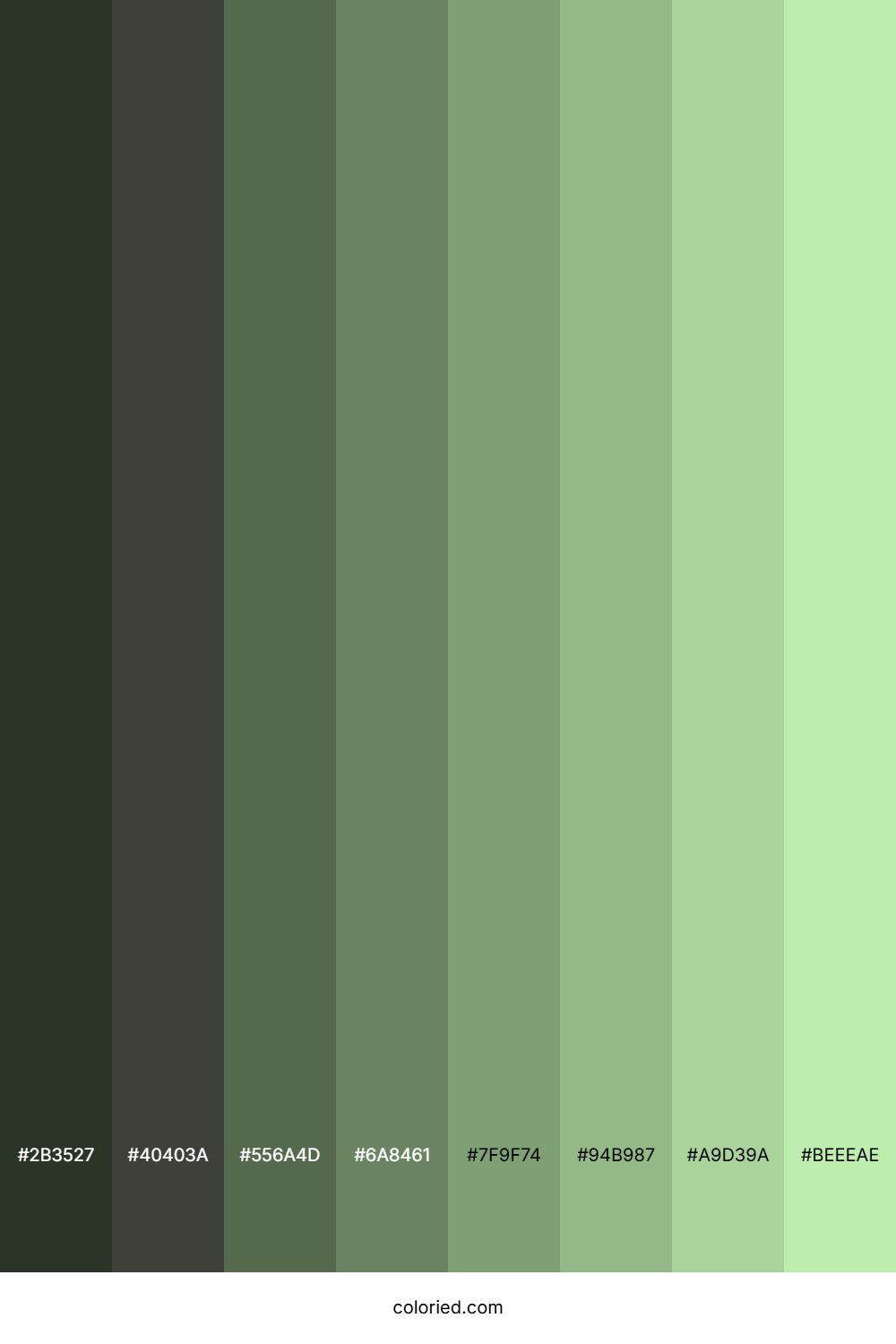 Light Sage Shades