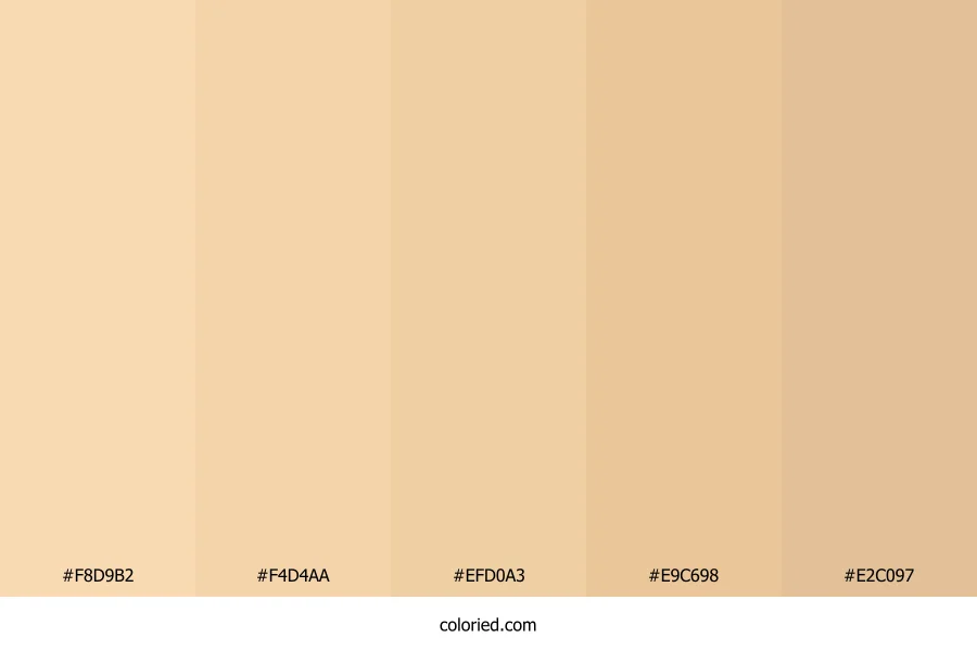 Light Sand and Warm Sand Color Palette