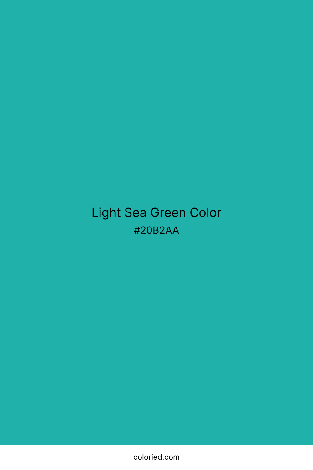 Light Sea Green Color