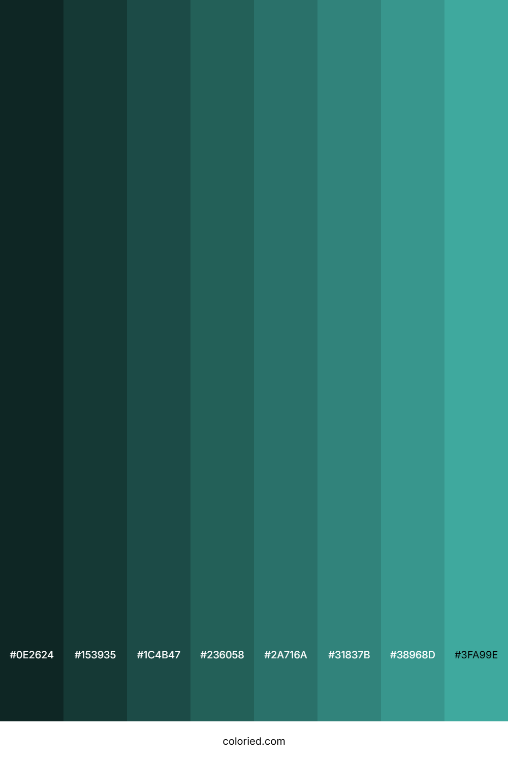 Light Sea Green Shades