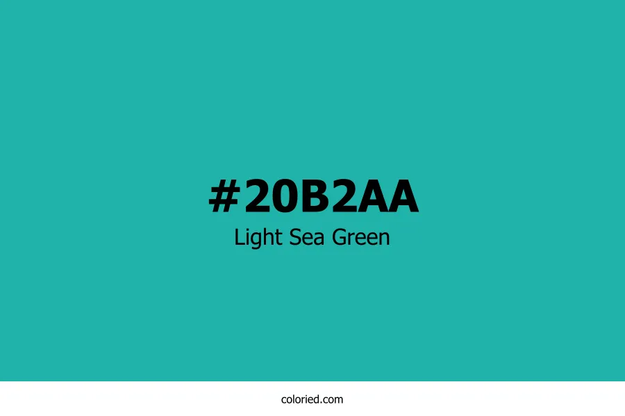 Light Sea Green Color Hex Code