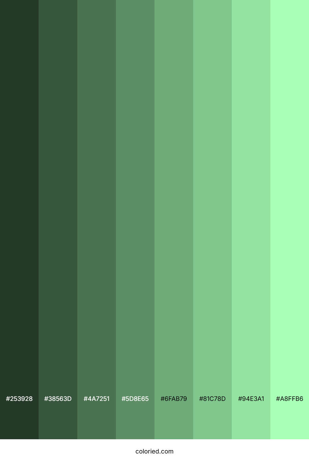 Light Seafoam Green Color Shades