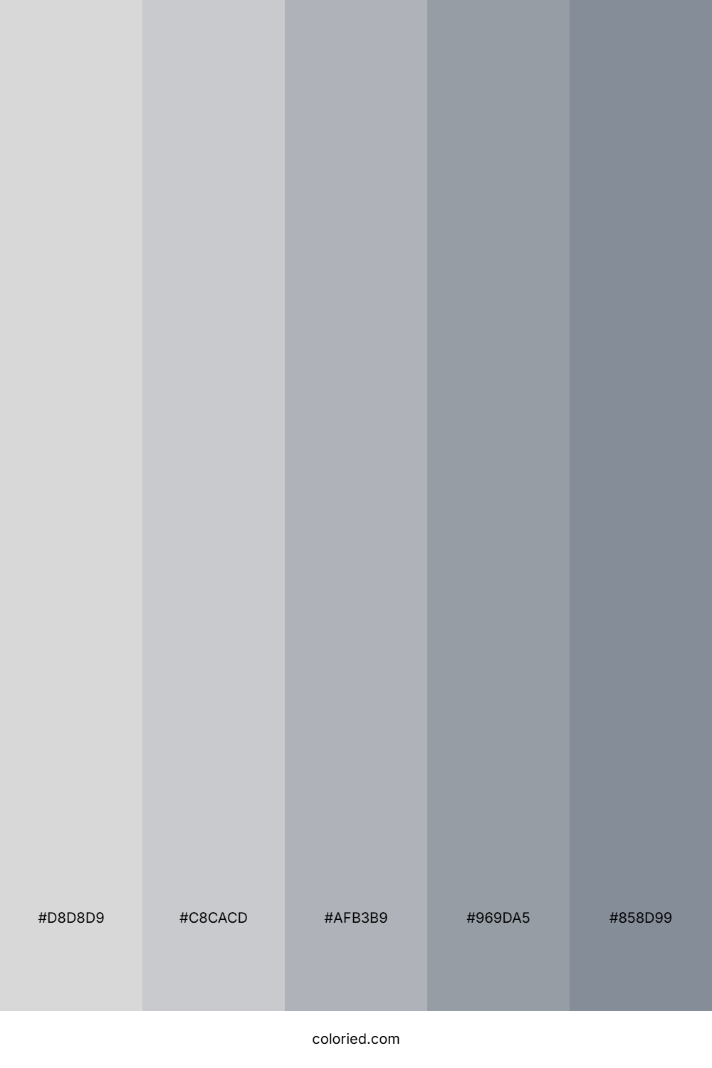 Light Silver and Slate Gray Color Palette