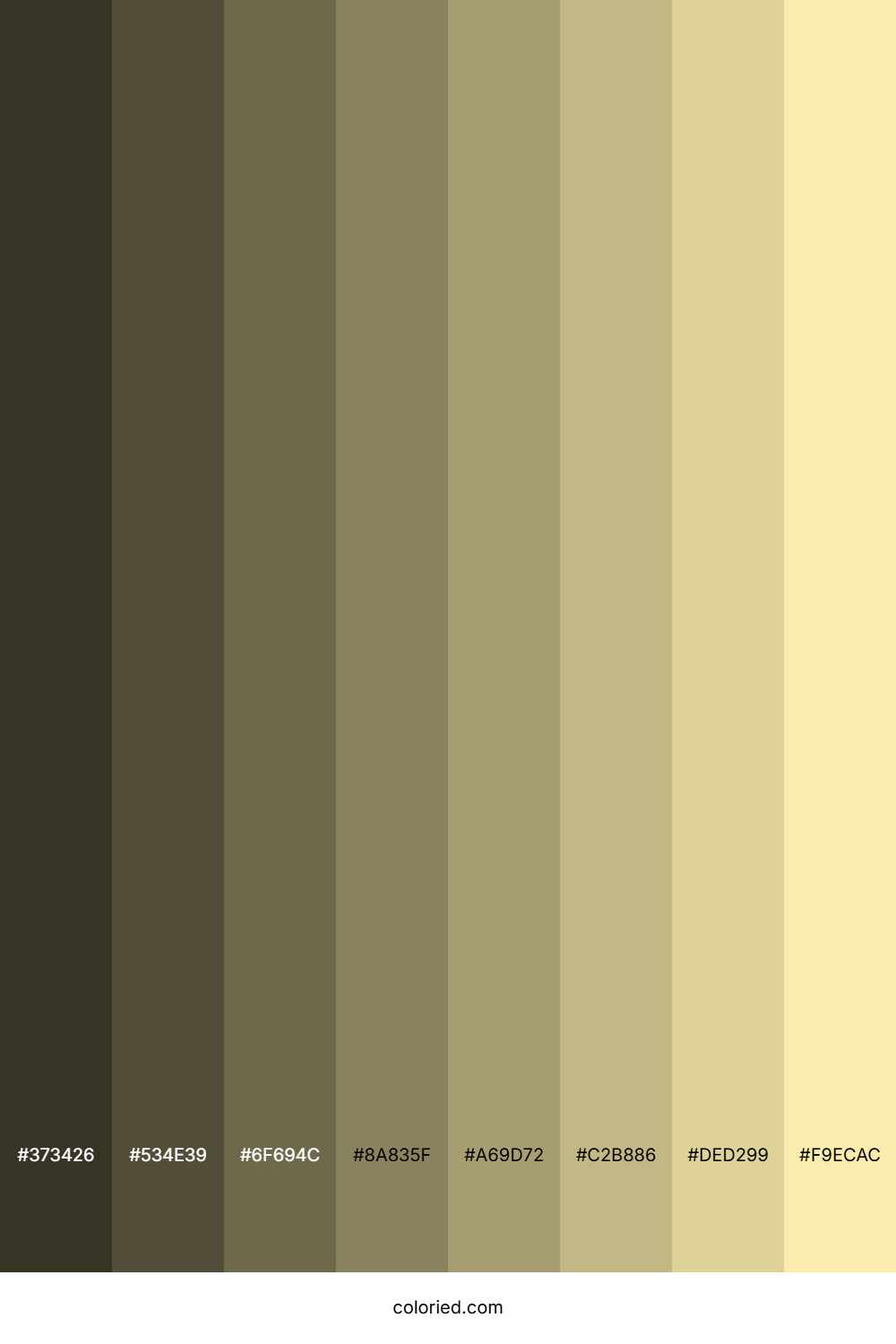 Light Tan Color Shades