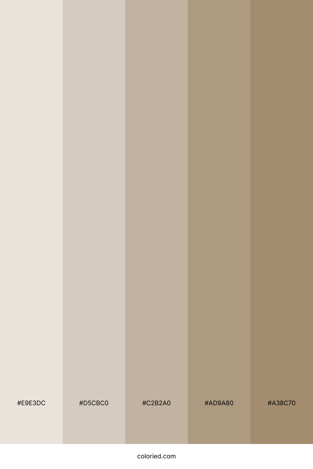 Light Taupe and Warm Brown Color Palette