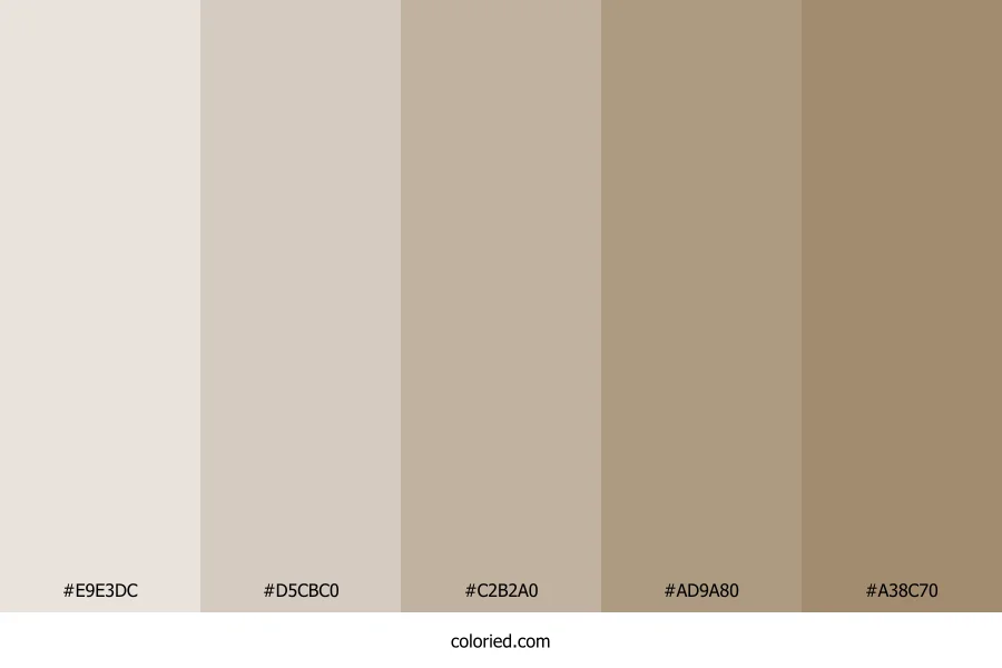Light Taupe and Warm Brown Color Palette