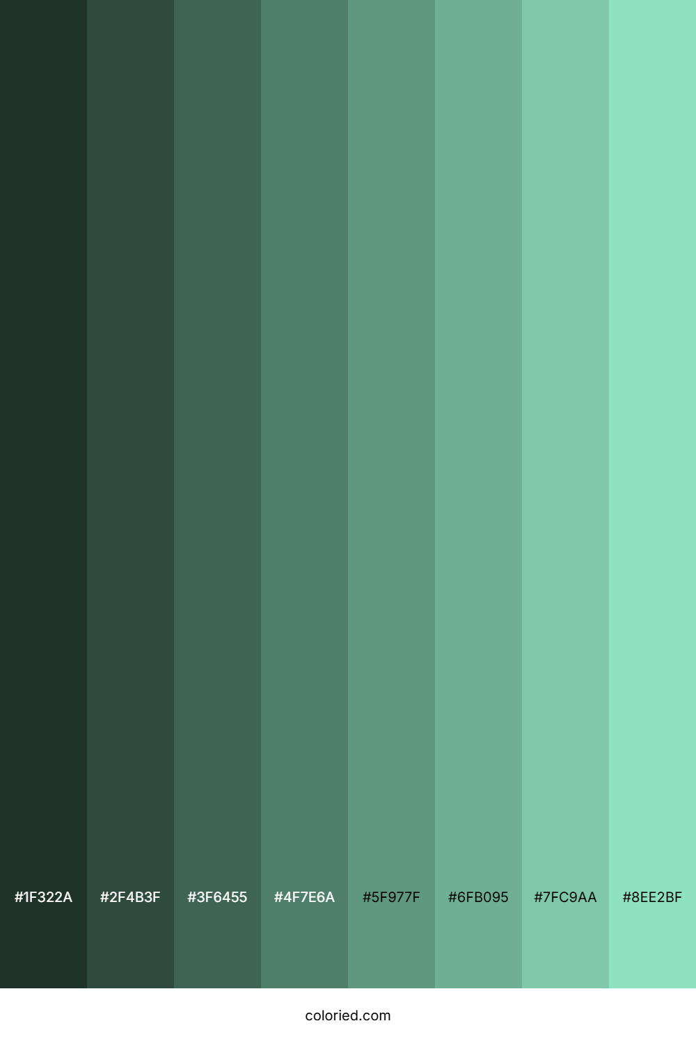 Light Teal Color Shades