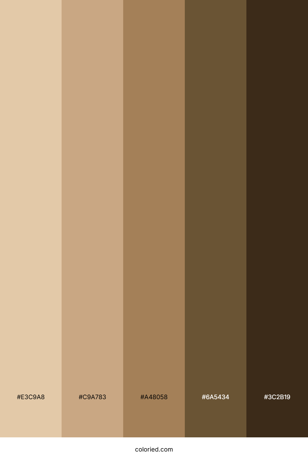 Light to Dark Brown Color Palette