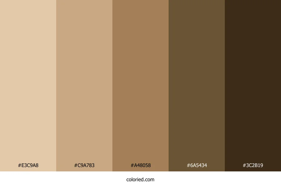 Light to Dark Brown Color Palette