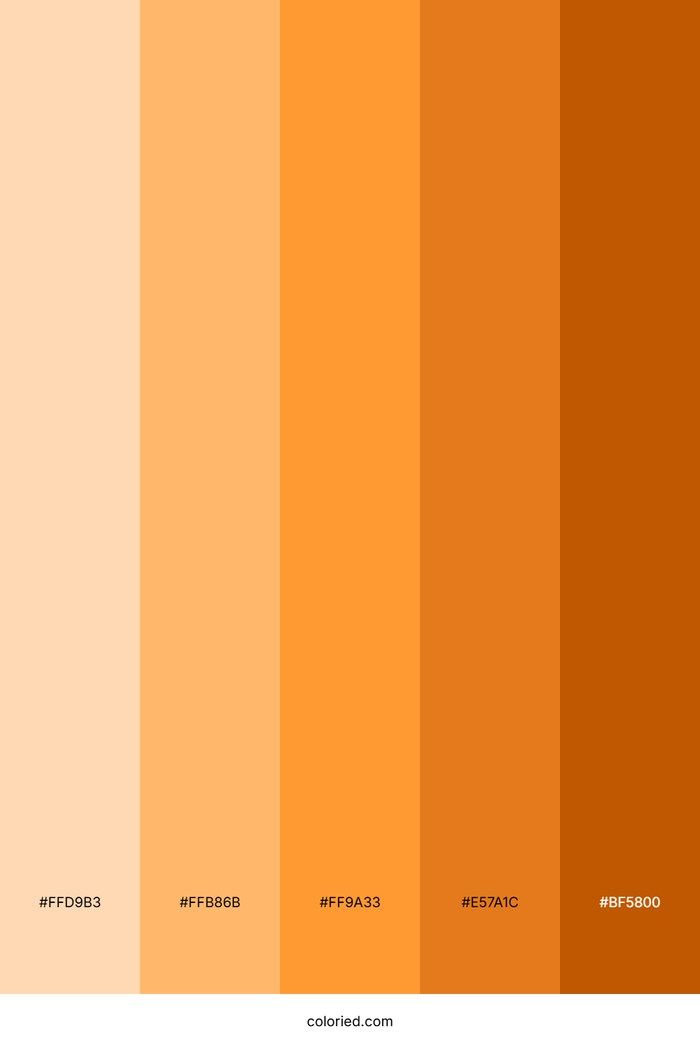 Light to Dark Orange Color Palette