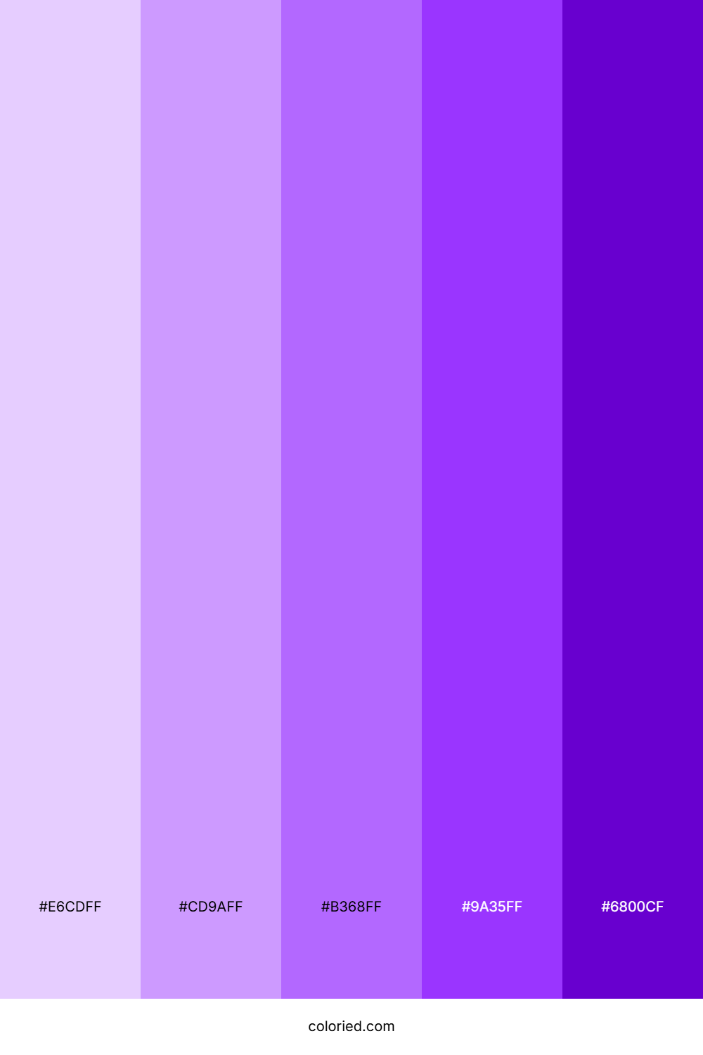 Light to Dark Purple Color Palette