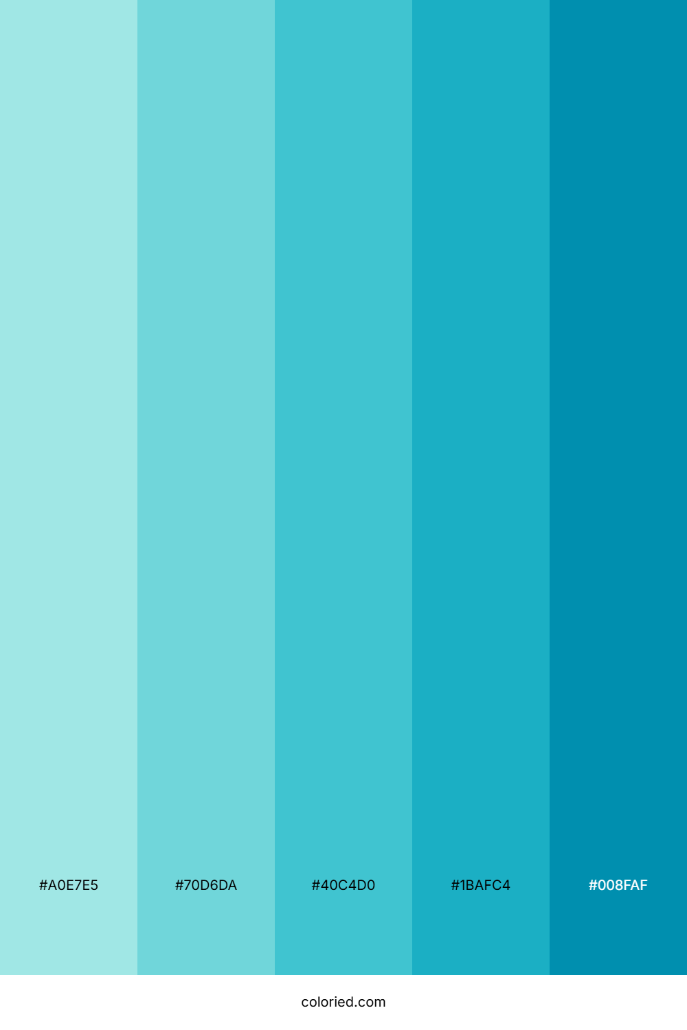 Light to Dark Turquoise Color Palette