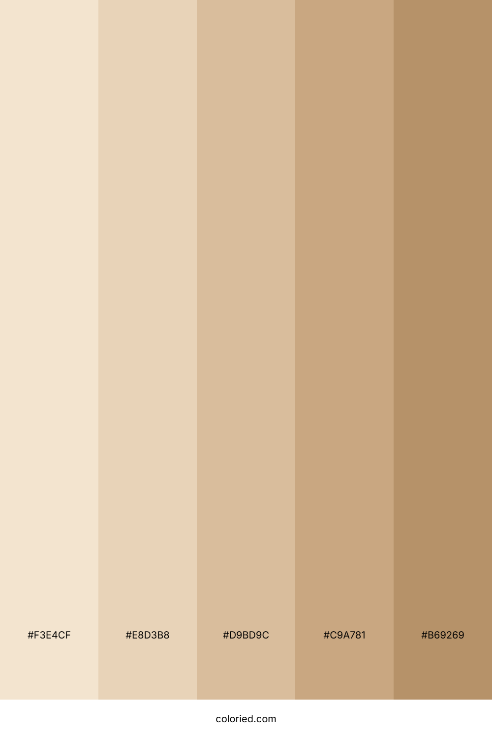 Light Wood Color Palette