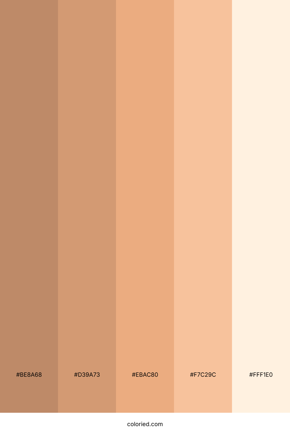 Lightly Tanned Skin tones Color Palette