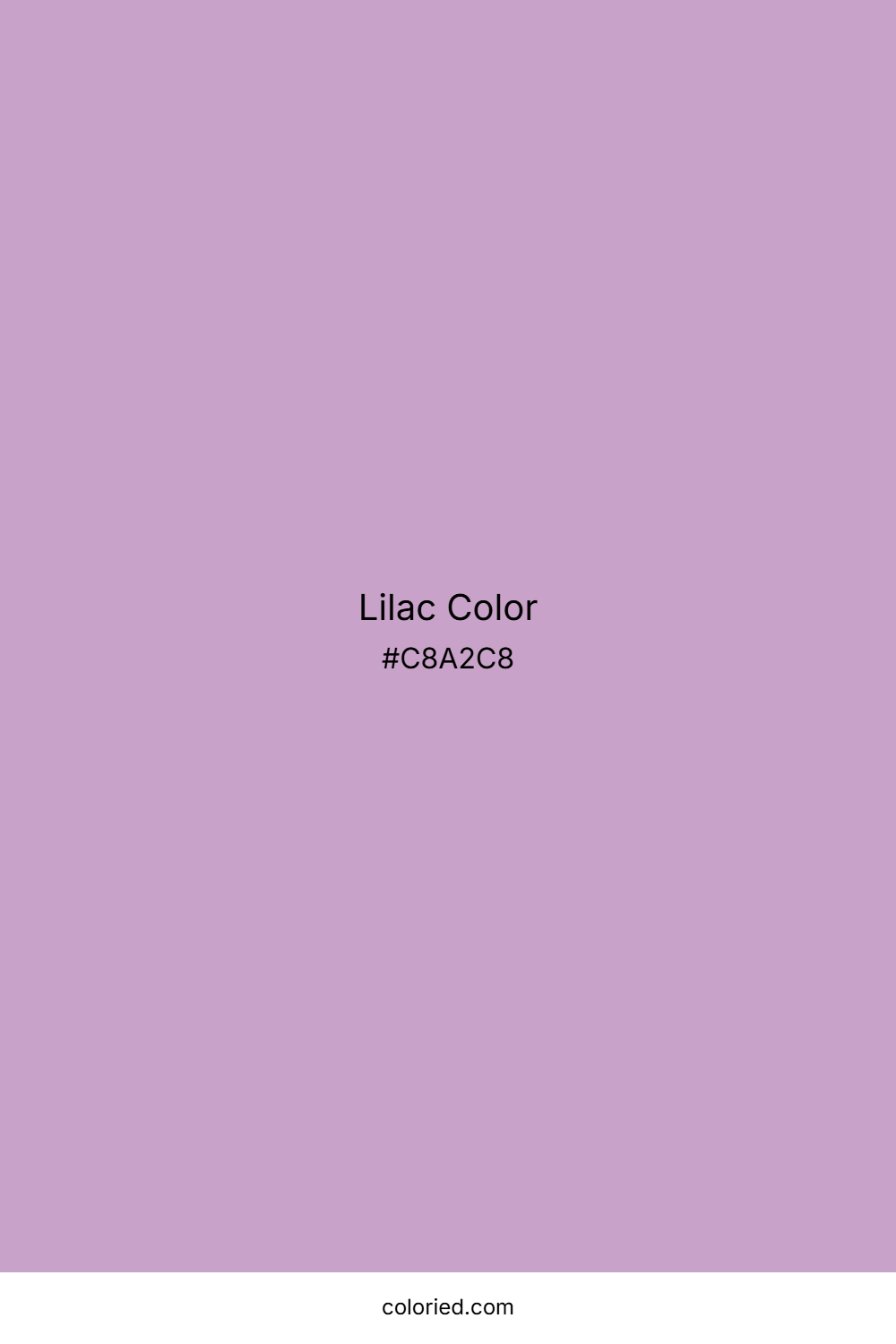 Lilac Color