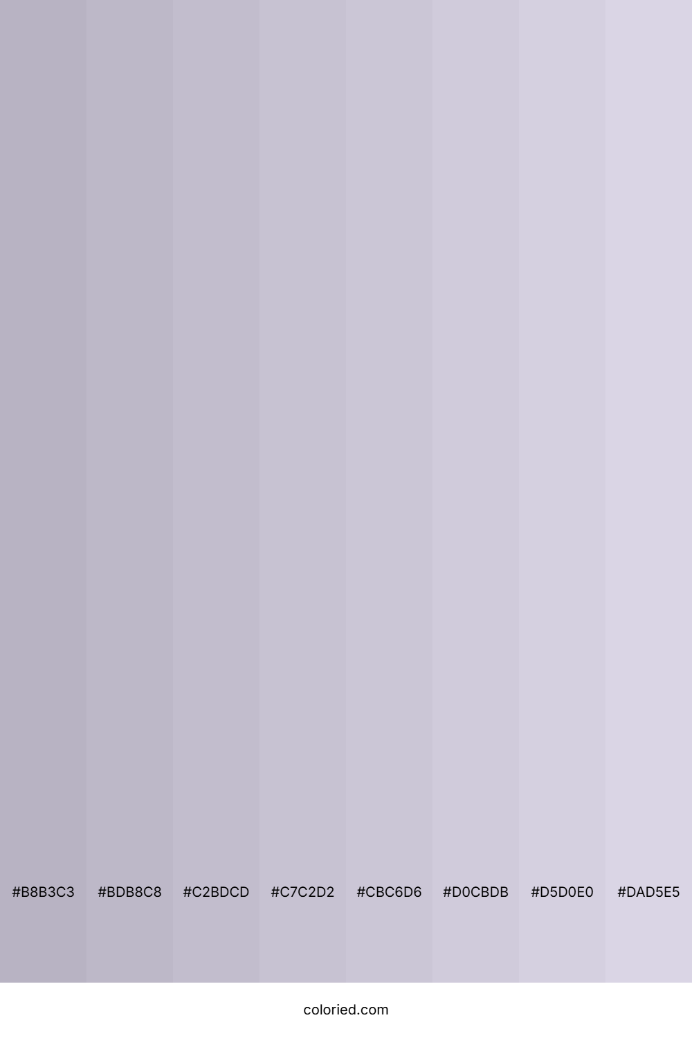 Lilac Grey Shades