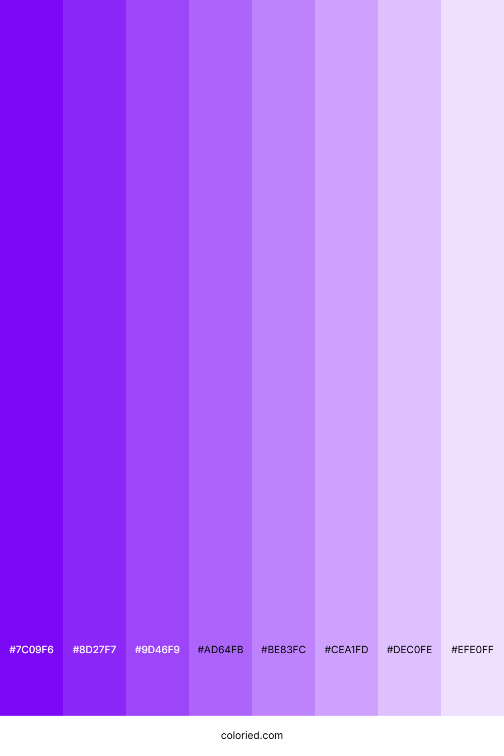Lilac Shades