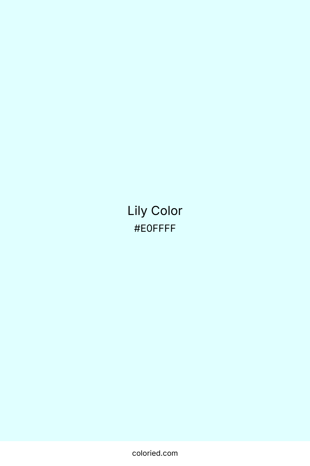 Lily Color
