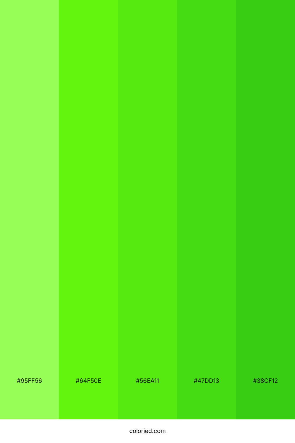 Lime And Forest Green Color Palette