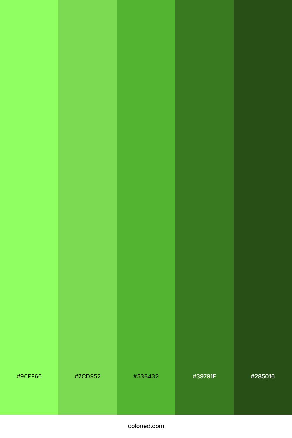 Lime and Moss Color Palette