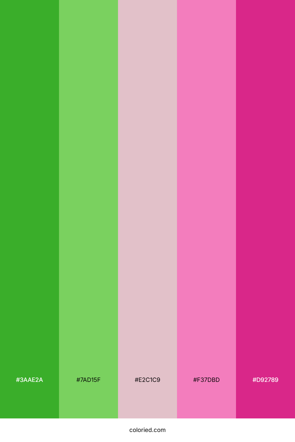 Lime and Pink Gradient Color Palette