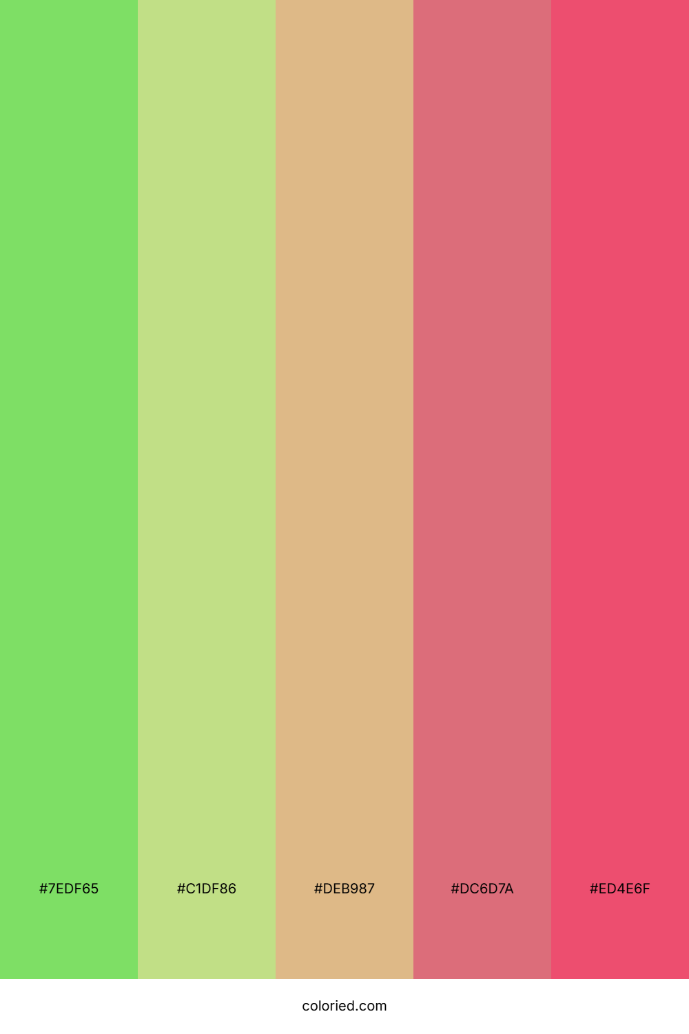 Lime Blossom Sunset Palette