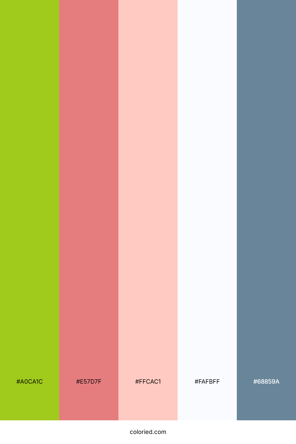 Lime Coral Frost Color Palette