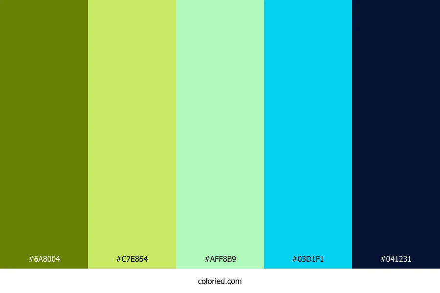 Lime Fern Sky Color Palette