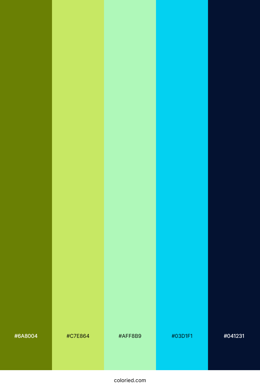 Lime Fern Sky Palette
