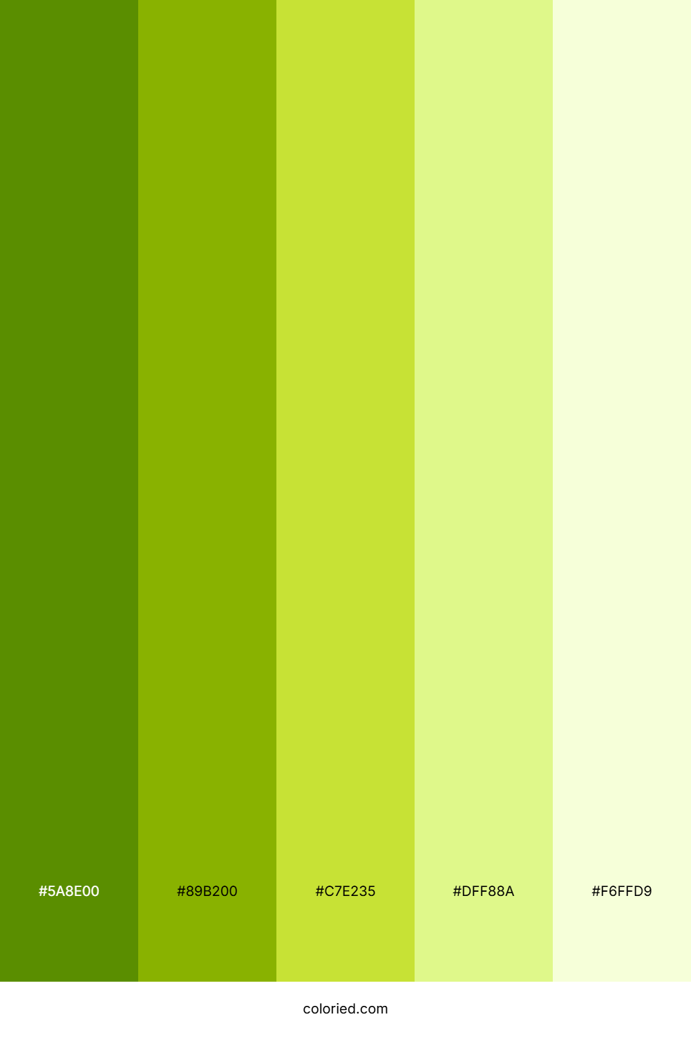 Lime Green Gradient Color Palette