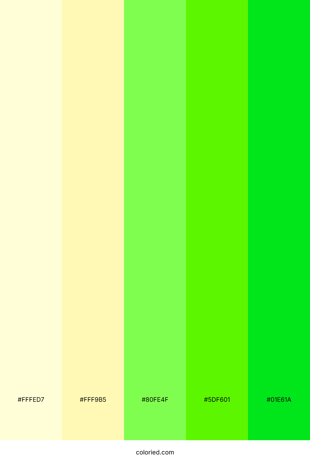 Lime Orchard Sunshine Color Palette