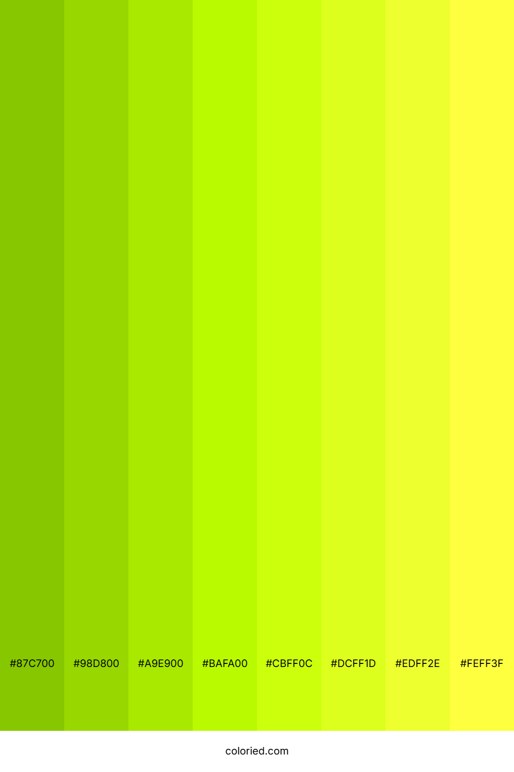 Lime Punch Shades