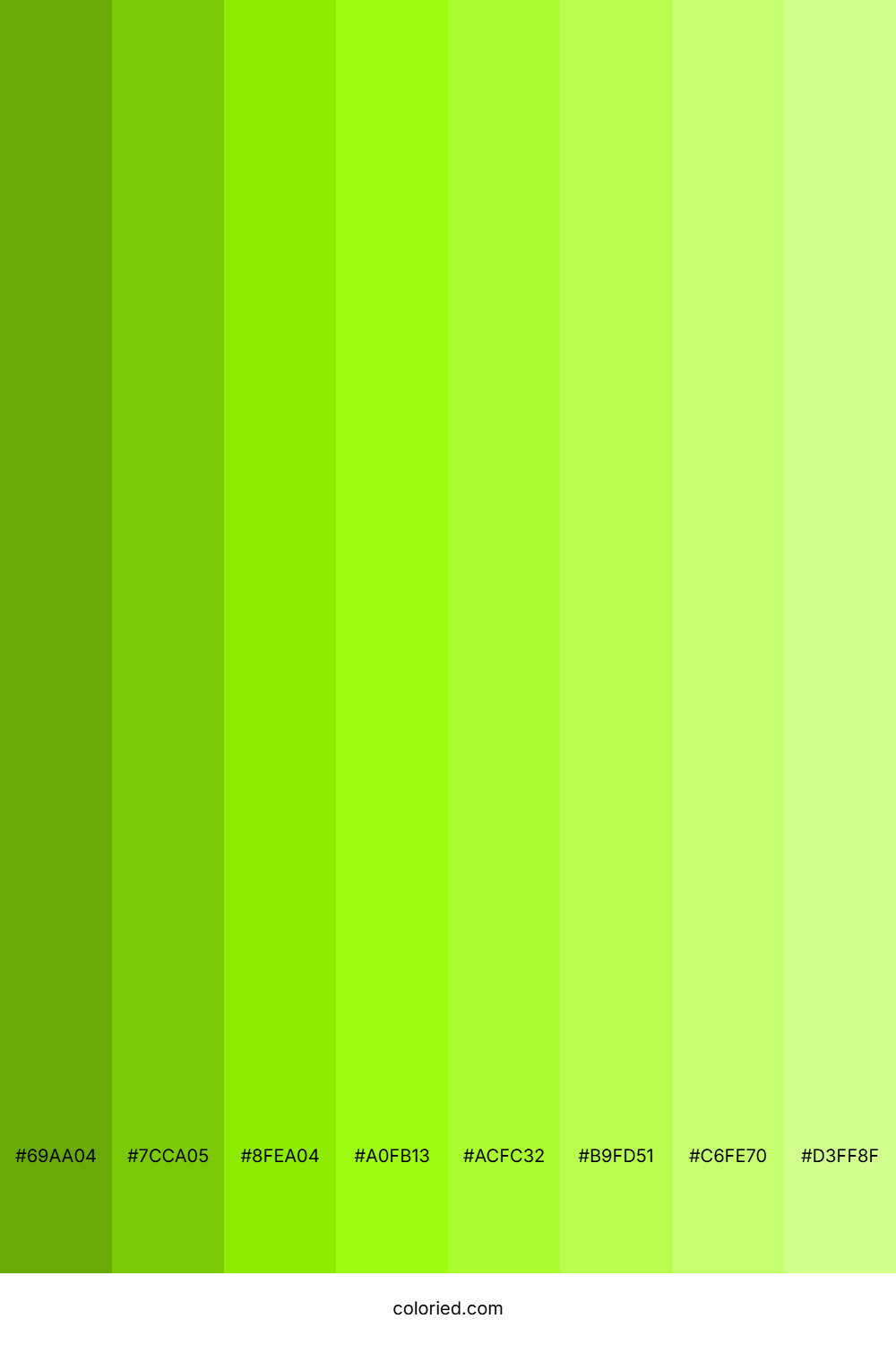 Lime Shades