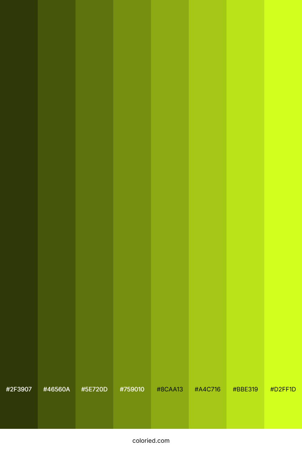 Lime Yellow Shades