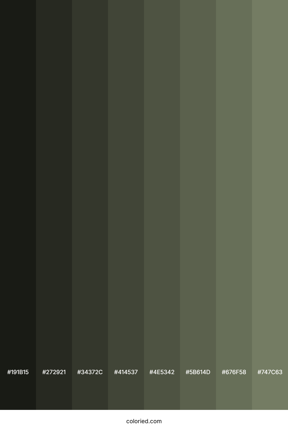 Limed Ash Color Shades