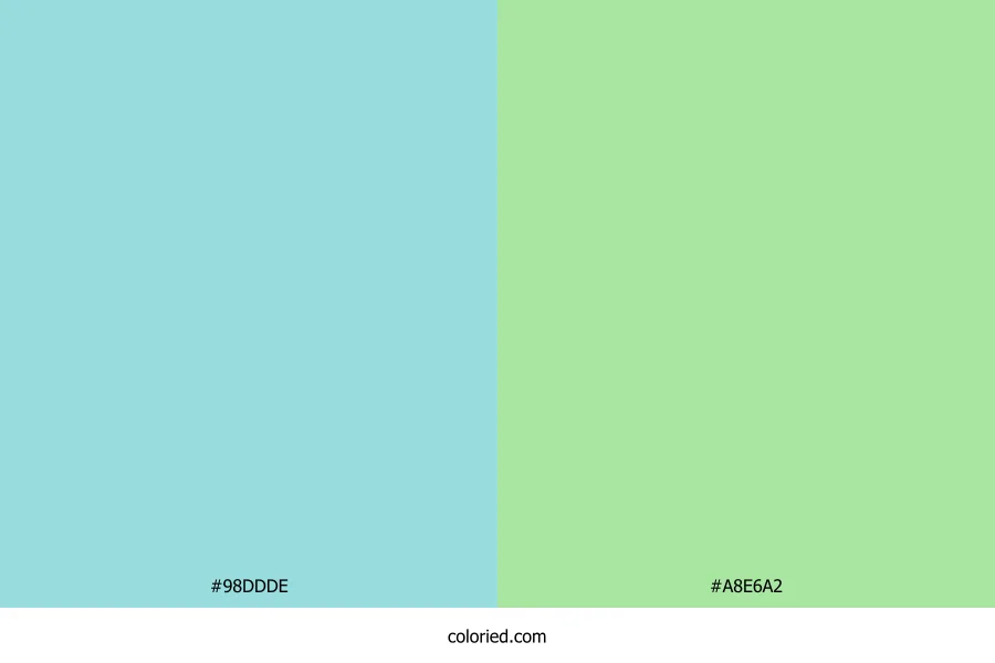 Limpet Shell and Soft Green Dress Combination