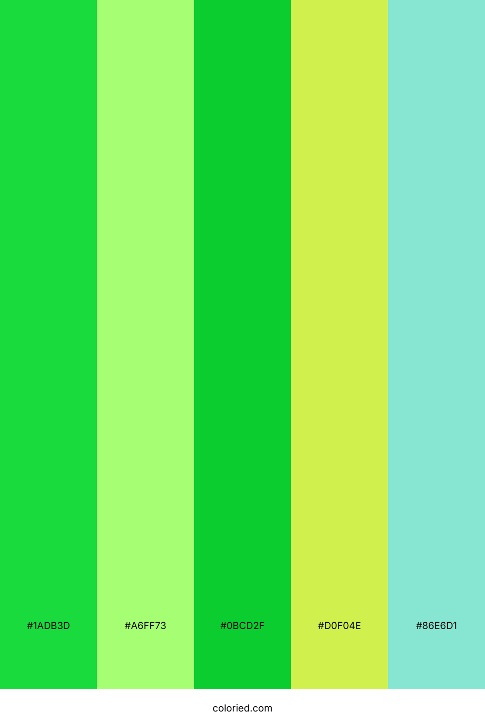 Lively Green Sunshine Palette