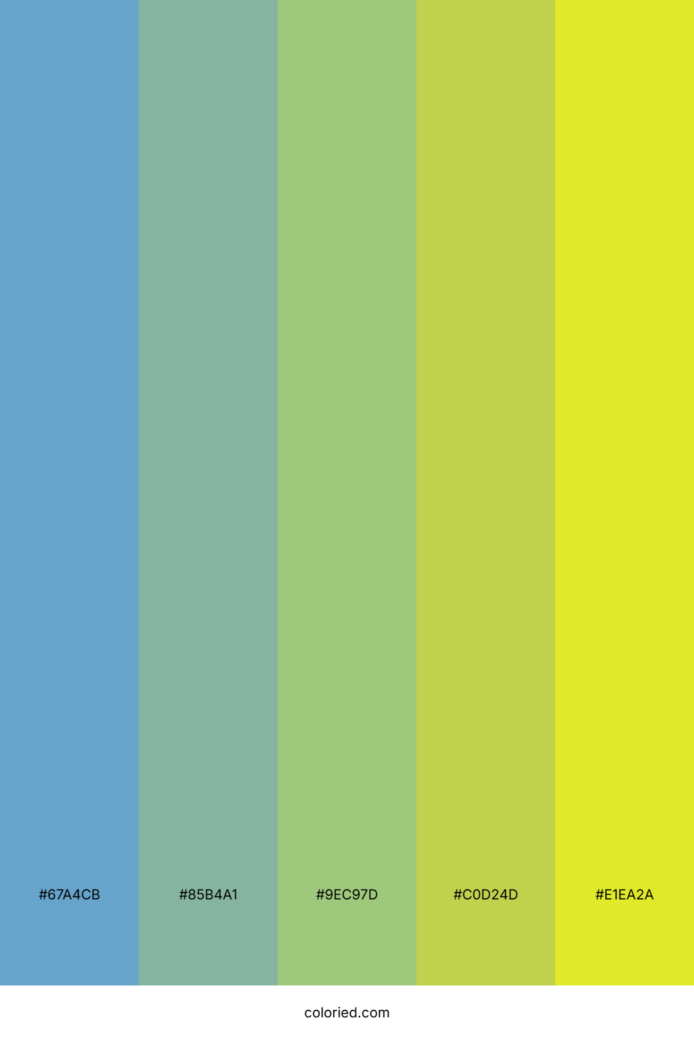 Lively Meadow Bloom Color Palette