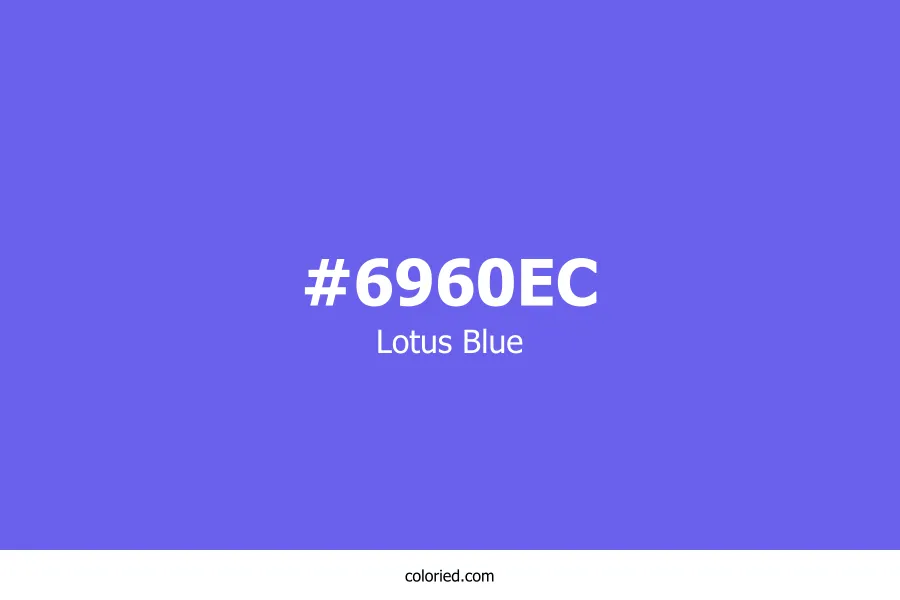Lotus Blue Color