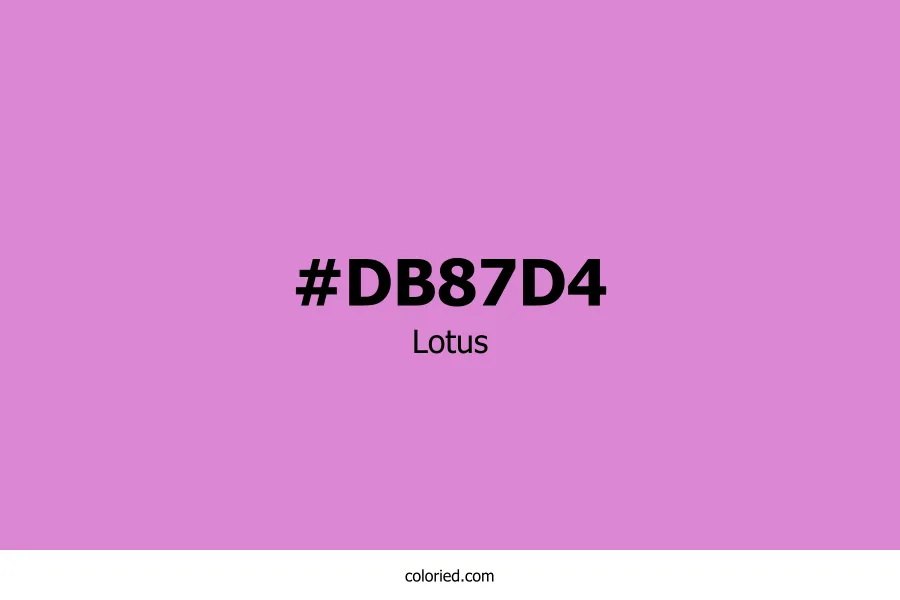 Lotus Color