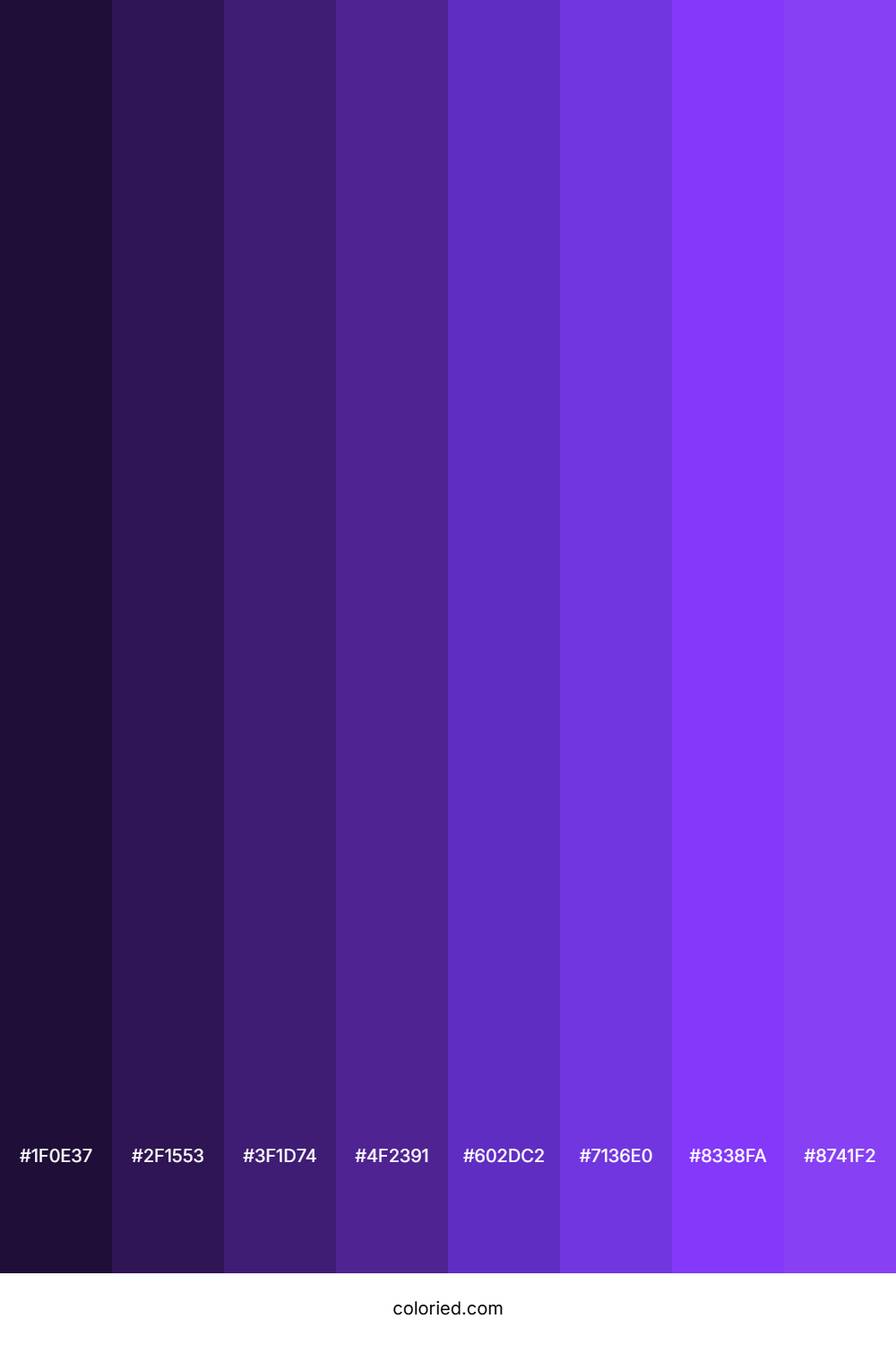 Lovely Purple Color Shades